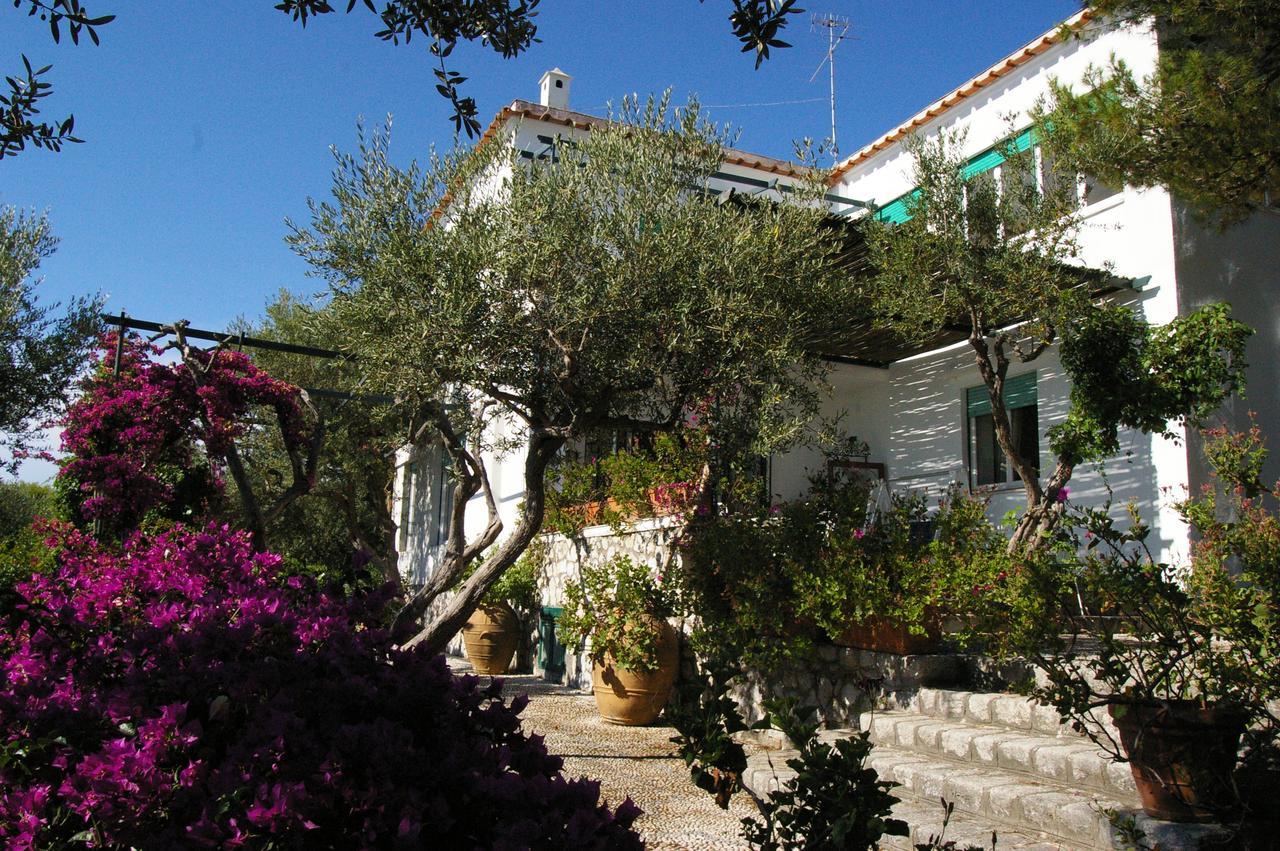 Il Rifugio B&B Capri Анакапрі Екстер'єр фото
