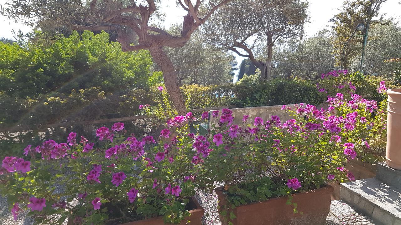 Il Rifugio B&B Capri Анакапрі Екстер'єр фото